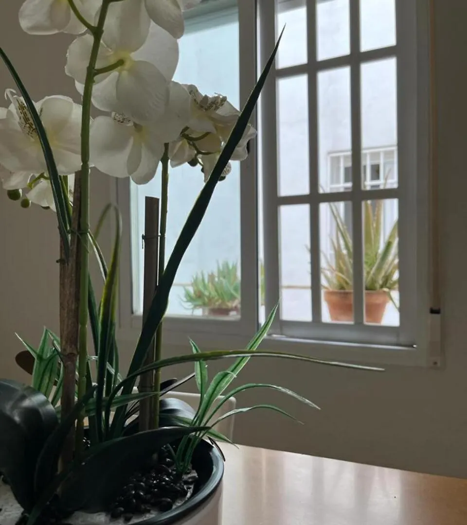 דירות קורדובה El Balcon De La Torre ספרד
