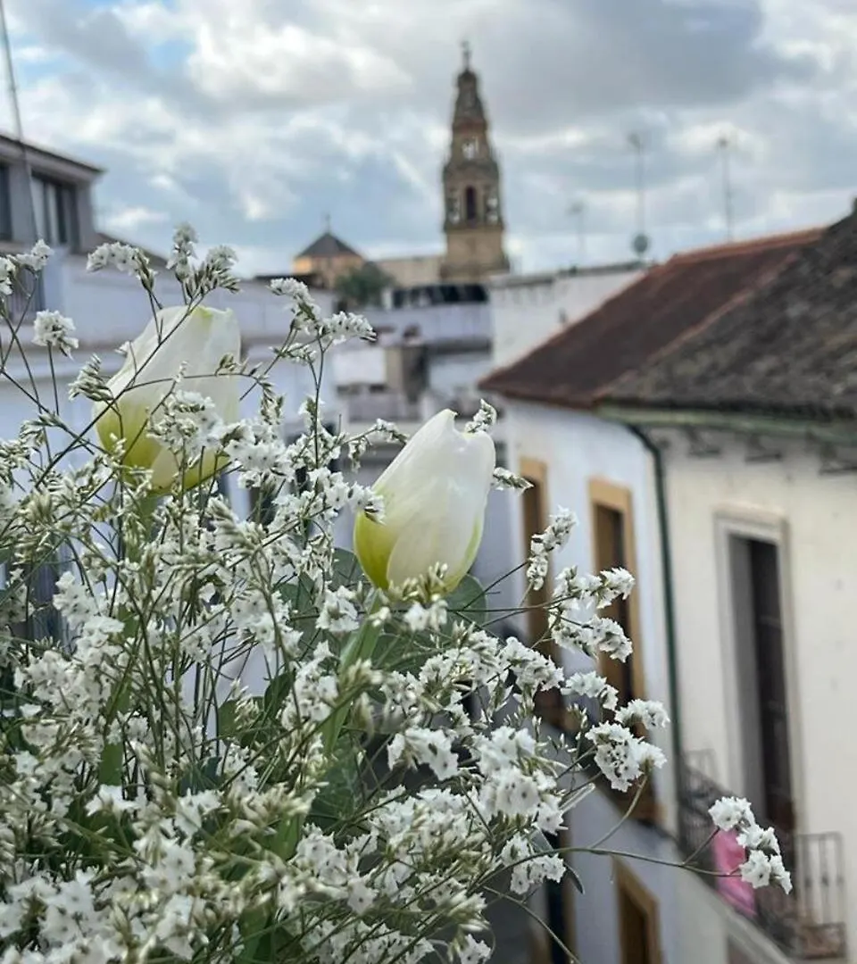 דירות קורדובה El Balcon De La Torre
